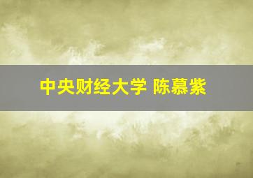 中央财经大学 陈慕紫